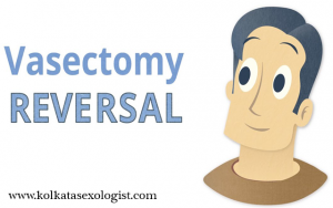 Vasectomy Reversal